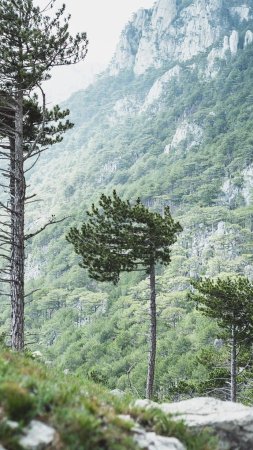 Завораживающие горные пейзажи Крыма для рабочего стола скачать фон 1080 x 1920