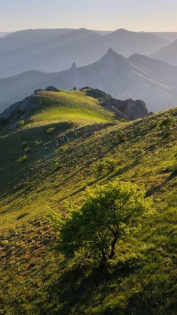 Гора чок сары кая крым скачать фон 1080 x 1920