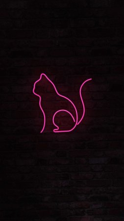 Неоновый котик