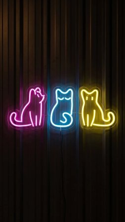Неоновая вывеска котик