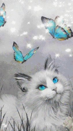 Котик бабочка