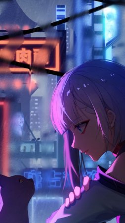 Cyberpunk люси