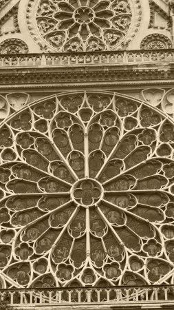 South rose window in notre dame cathedral скачать фон 1424 x 2532