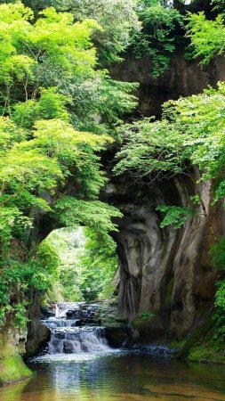 Самурский лес водопад