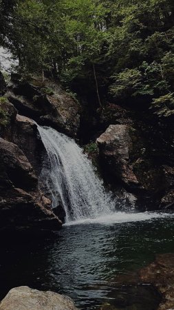 Водопад в лесу