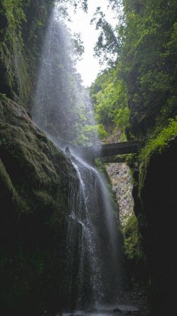 Ла пальма исла бонита водопад