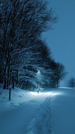 Красивая зимняя ночь