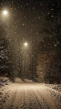 Снег ночь
