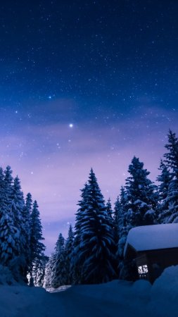 Звездная ночь над заснеженным лесом зимой