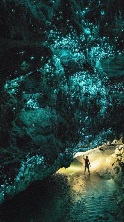 Waitomo glowworm caves new zealand скачать фон 720 x 1280