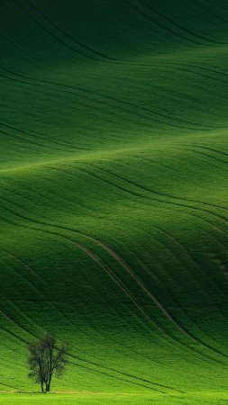 Зеленая природа