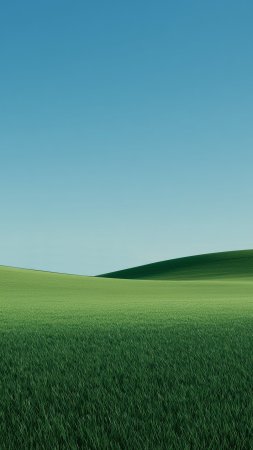 Зеленое поле