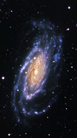 Галактика туманность андромеды