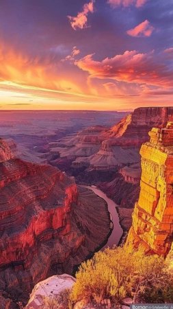 The grand canyon usa