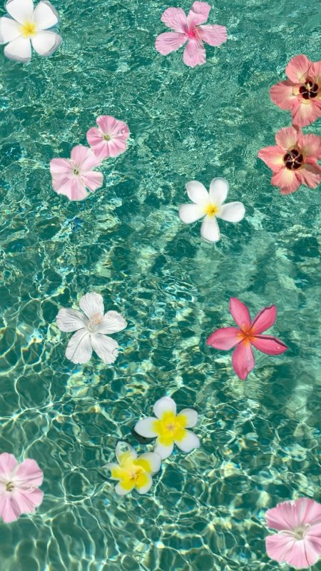 Wallpaper iphone summer