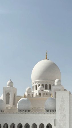 Мечеть зайда в абу даби скачать фон 1080 x 1920