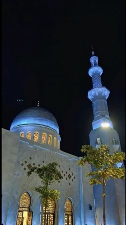 Самая красивая мечеть в мире скачать фон 1424 x 2532