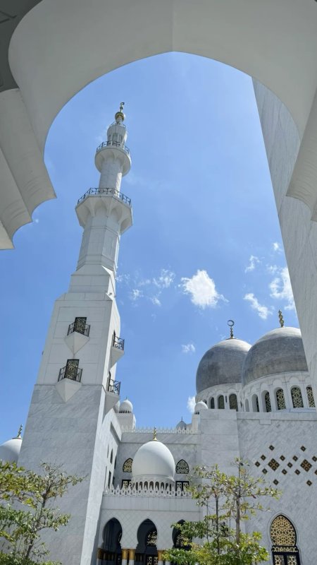 Great mosque скачать фон 1080 x 1920