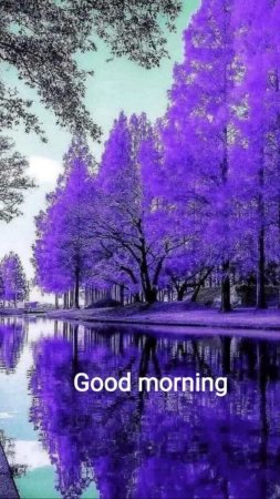 Good morning