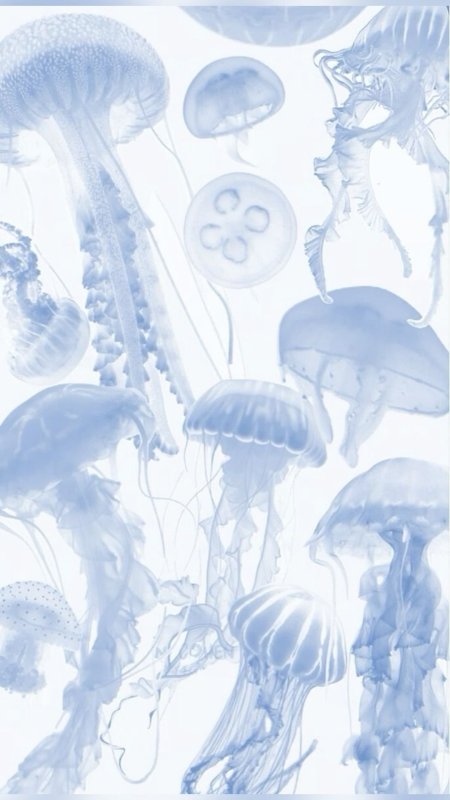 Wallpaper jellyfish скачать фон 1080 x 1920