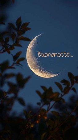 Immagini buonanotte скачать фон 1424 x 2532