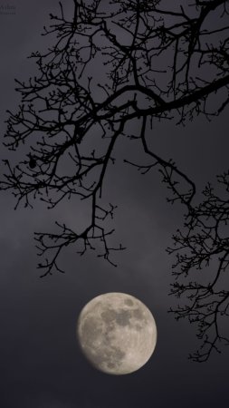 Эстетика ночь луна скачать фон 1080 x 1920