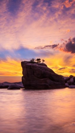 Bonsai rock lake tahoe
