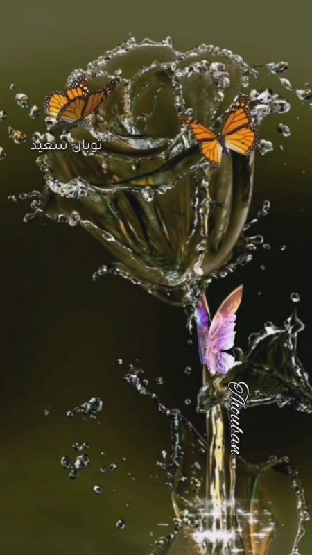 Бабочка 🦋