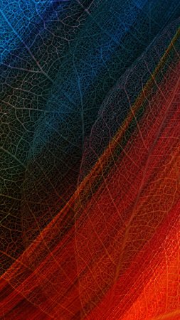 Фон для смартфона скачать фон 2160 x 3840
