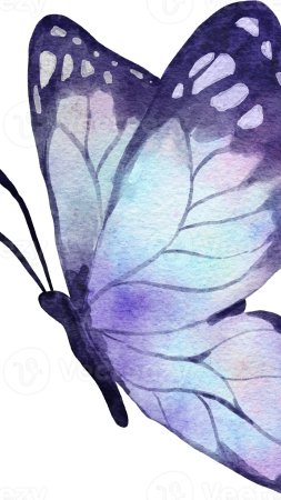 Mariposa acuarela ilustración