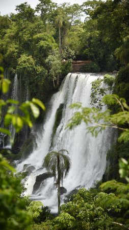 Iguacu falls