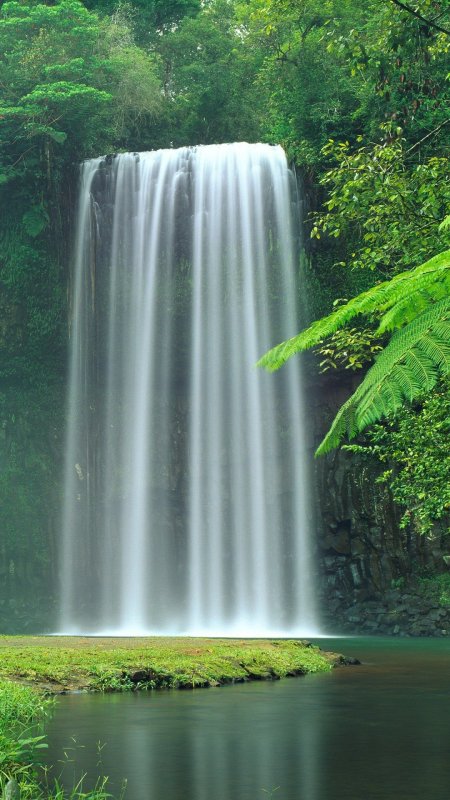 Millaa falls