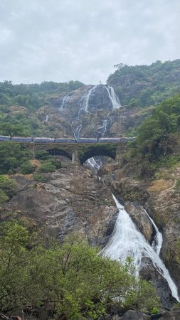 Водопад дудхсагар гоа