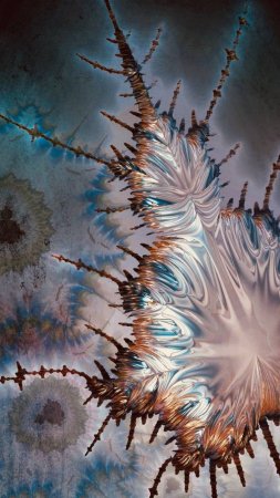 Mandelbrot fractal скачать фон 1424 x 2532