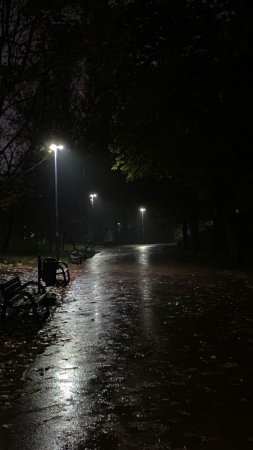 Rainy park at night скачать фон 720 x 1280