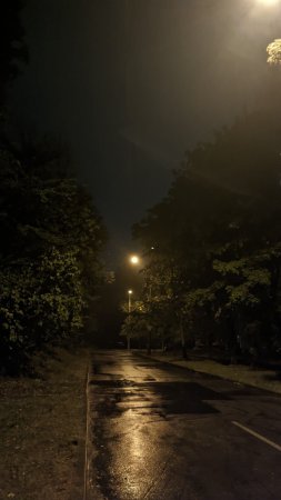 Street at night скачать фон 1424 x 2532