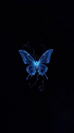 Blue butterfly