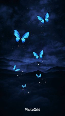 Blue black butterfly