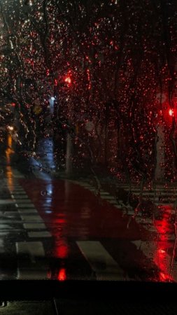 Rainy night скачать фон 720 x 1280