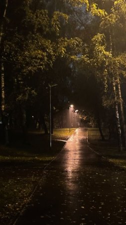 Осень ночь скачать фон 720 x 1280