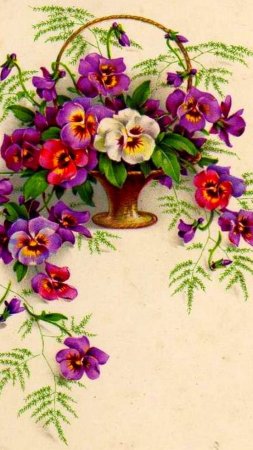 Decoupage/\ анютины глазки\ . скачать фон 720 x 1280