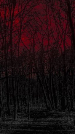 Лес хоррор скачать фон 720 x 1280