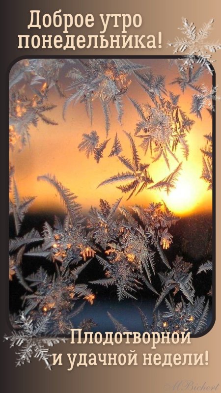 Морозное утро скачать фон 1080 x 1920