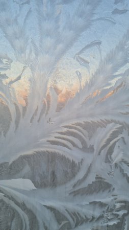 Узоры на стекле скачать фон 1424 x 2532