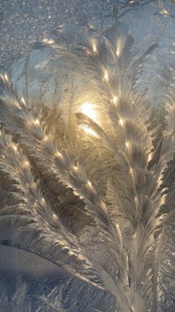 Узоры на окнах зимой скачать фон 720 x 1280
