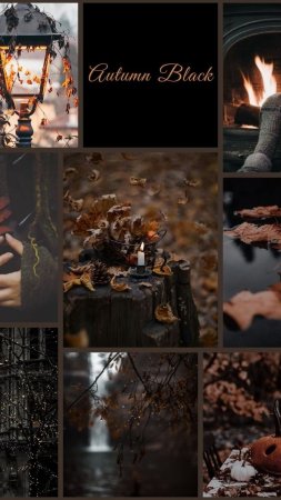 Films autumn aesthetics скачать фон 720 x 1280
