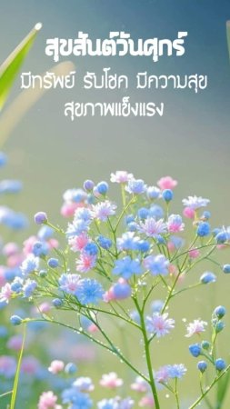 Нежные полевые цветы