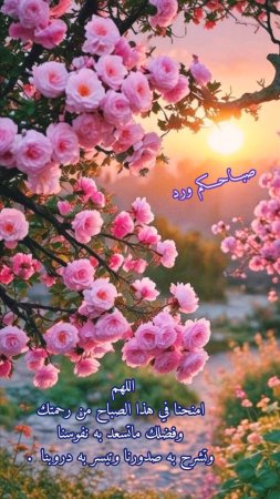 Красивая природа цветы