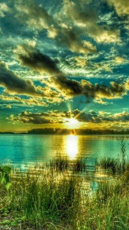 Природа красивая