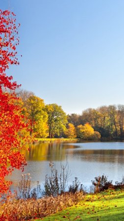 Красивая природа осень